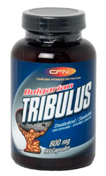 TRIBULUS